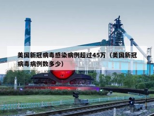 美国新冠病毒感染病例超过45万（美国新冠病毒病例数多少）